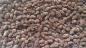Preview: alder cones (40g)