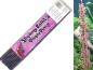 Preview: shrimp lollies pruple power (10 pieces)