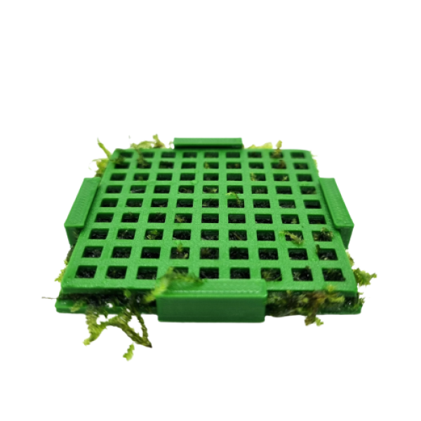 moss box