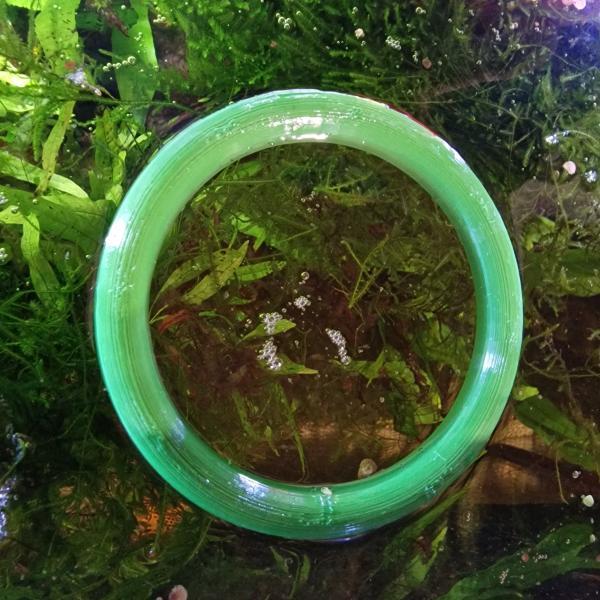 fishfeeder