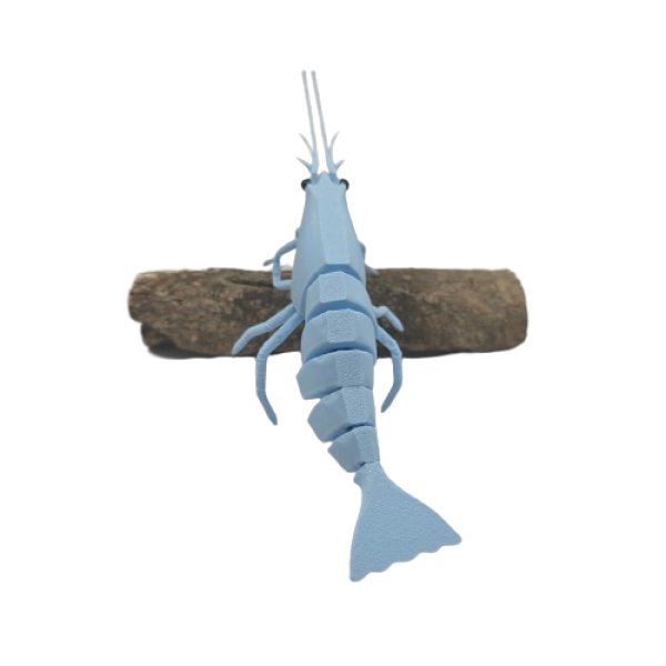 FlexiShrimp