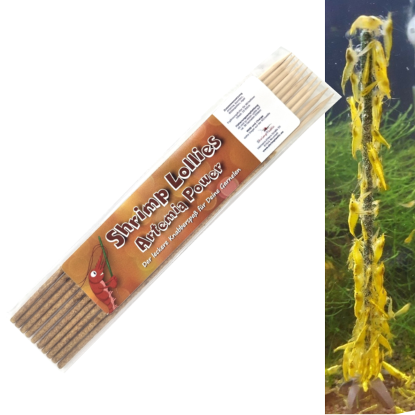 Shrimp-Lollies Artemia Power! (10 Stück)